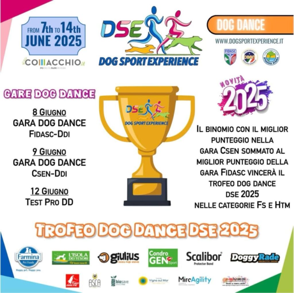 5°DSE CSEN