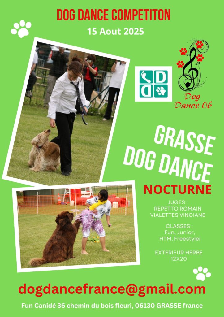 DDi Grasse 15 Aout nocturne