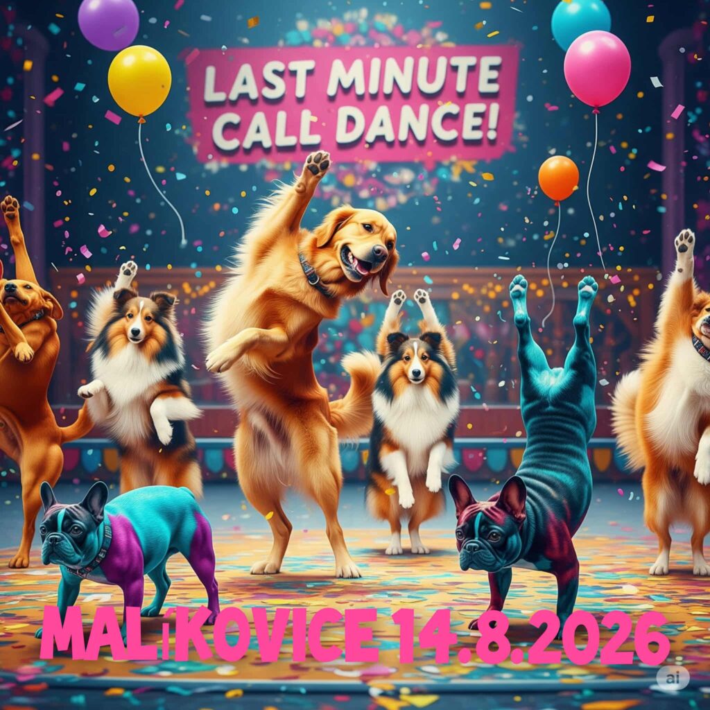Last minute call dance !